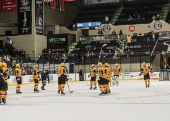Wheeling Nailers announce season ending Roster
