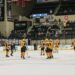 Wheeling Nailers announce season ending Roster
