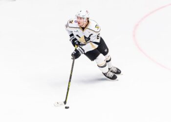 Adam Smith Departs Nailers for Czech Republic