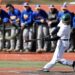 Baseball: Bison hot streak extends to five in win over Wildcats