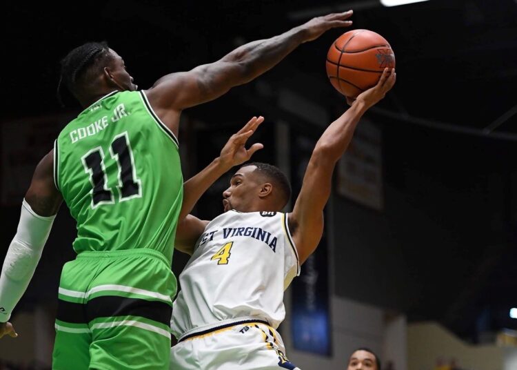 Herd That Gets the Best of Best Virginia