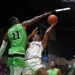 Herd That Gets the Best of Best Virginia
