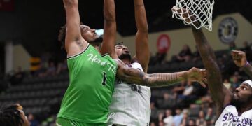 Herd That Wins Again