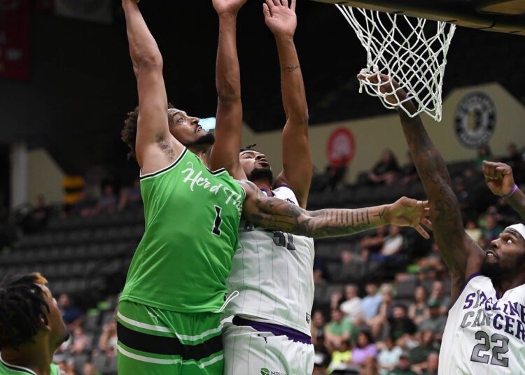 Herd That Wins Again