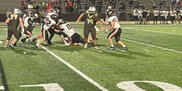 Monarchs Are the Kings of the Jungle